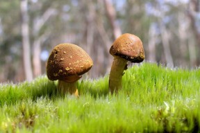 世界学生保龄球青训联赛：精准线路训练提高胜率，保龄球夏令营