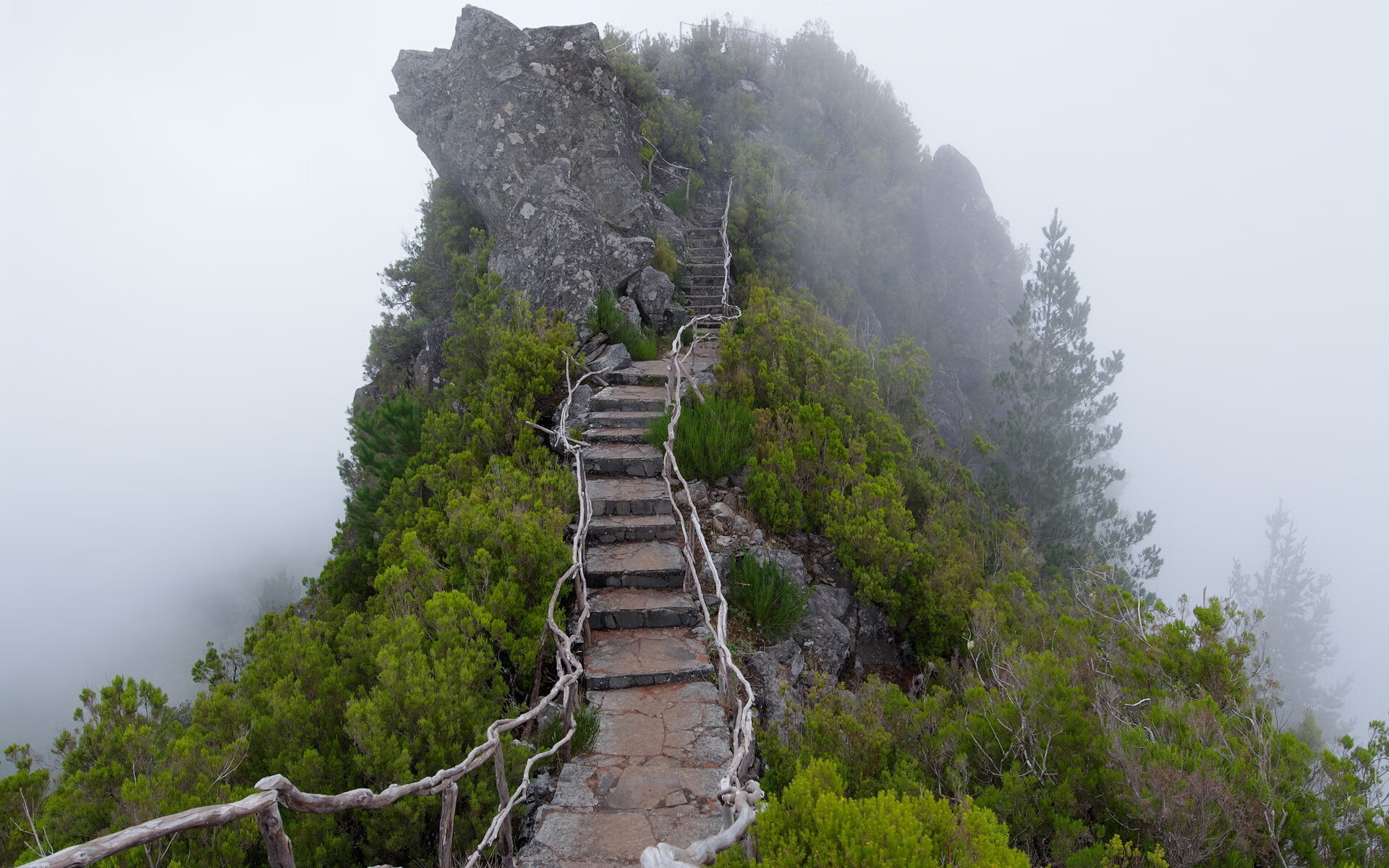 世界乒乓球联赛青训营导师交流成果展播上线，世界青年乒乓球锦标赛视频